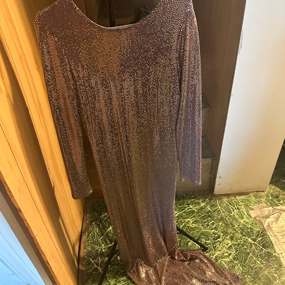 Cameo Brown Long Sleeve Scoop Neck Gown